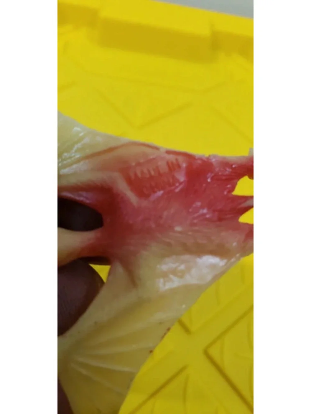 Plastic Pterodactyl Dinosaur Toy Figurine